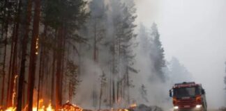 Ola de calor incendios Europa