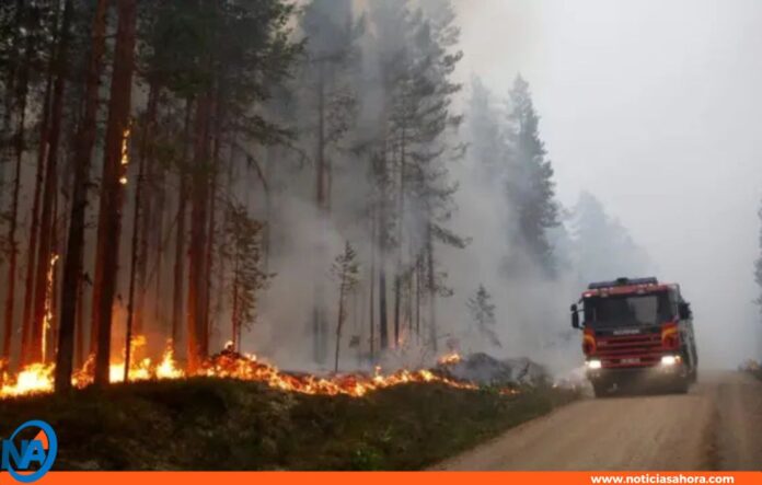 Ola de calor incendios Europa Ola de calor incendios Europa