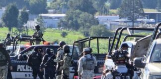 cabezas humanas carretera México