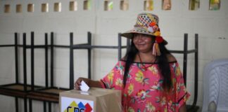 CNE sella resultados de elección indígena