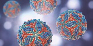 Virus del Nilo Occidental en Italia