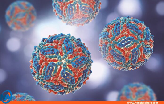 Virus del Nilo Occidental en Italia