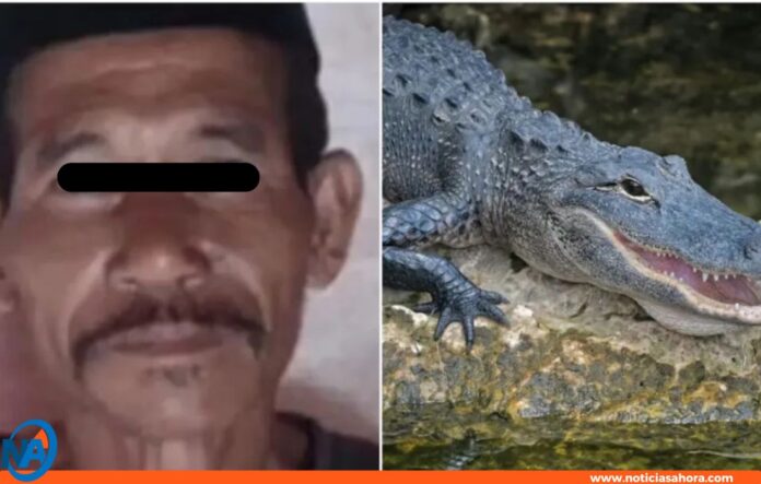 hombre atacado cocodrilo Indonesia