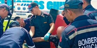 hombre atrapado podadora Maracaibo