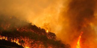 incendio forestales España