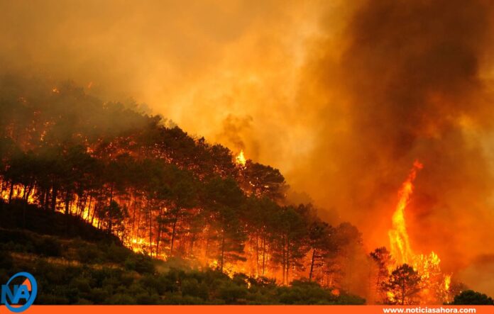 incendio forestales España incendio forestales España