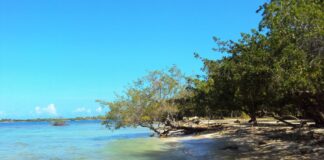 niña falleció playa Chichiriviche