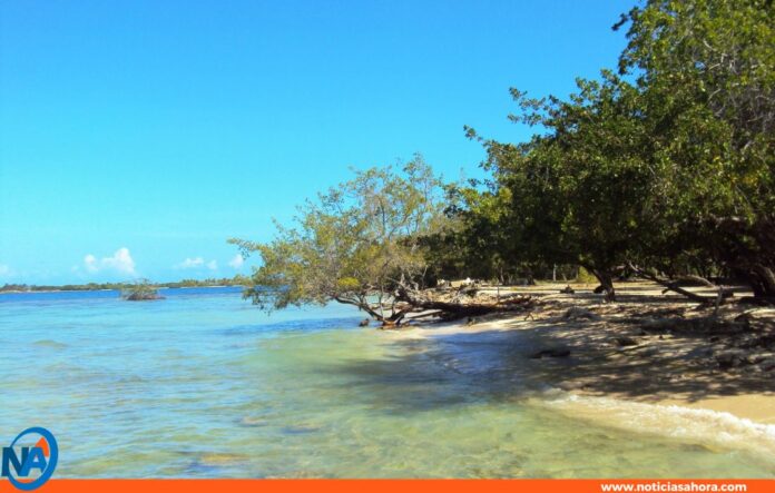 niña falleció playa Chichiriviche niña falleció playa Chichiriviche