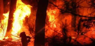 ola de calor España incendios