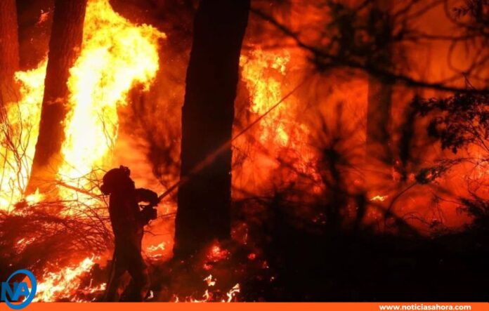 ola de calor España incendios ola de calor España incendios