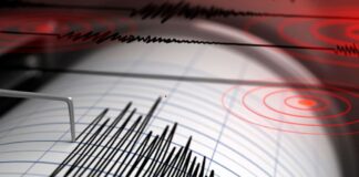 temblor lara