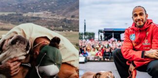 Lewis Hamilton perro Roscoe