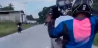 Yaracuy motopiruetas