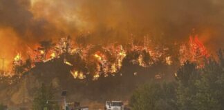 incendio forestal Turquía
