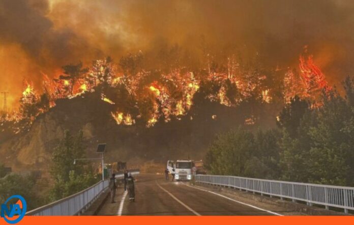incendio forestal Turquía