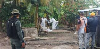 Barinas fiebre hemorrágica