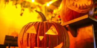Halloween Noche de Brujas