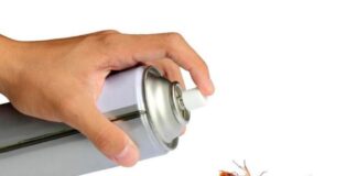 Mujer quiso matar cucaracha y asesinando a vecina