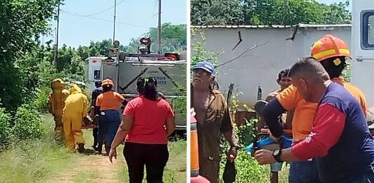 Bomberos rescatan ciudadanos tras ataque de abejas