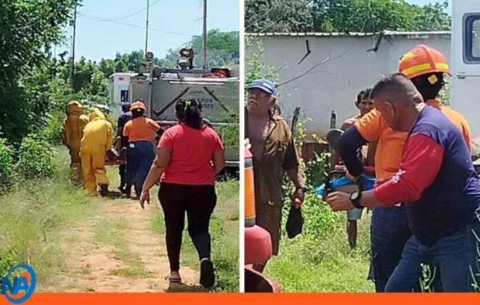 Bomberos rescatan ciudadanos tras ataque de abejas Bomberos rescatan ciudadanos tras ataque de abejas