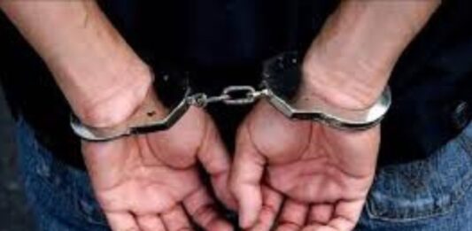 Detenido hombre en Aragua por abuso contra una menor