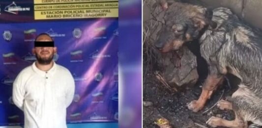 detenido agresión perro Aragua
