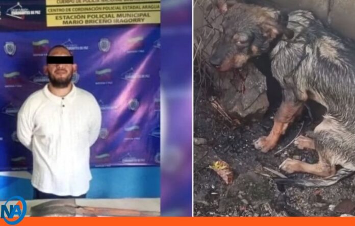 detenido agresión perro Aragua detenido agresión perro Aragua