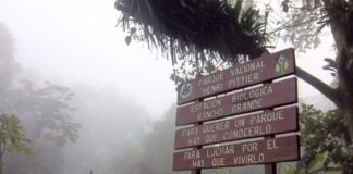 joven falleció Parque Nacional Henri Pittier