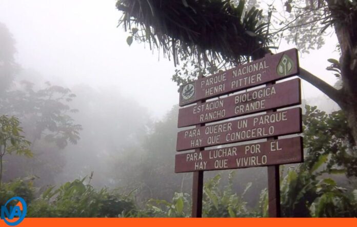 joven falleció Parque Nacional Henri Pittier