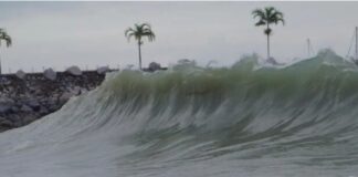 mar de fondo La Guaira