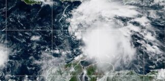 tormenta melissa fallecidos Haití