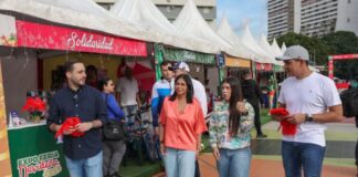 Expoferias navideñas
