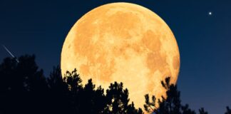 Superluna Noviembre