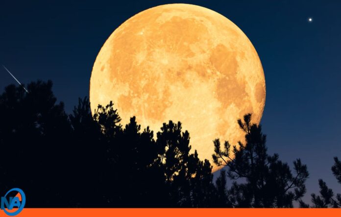 Superluna Noviembre Superluna Noviembre