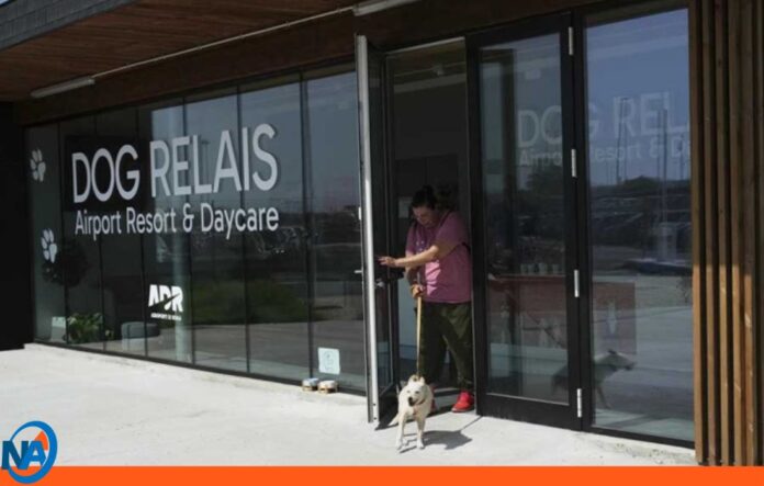 Aeropuerto de Roma estrena 'Dog Relais'