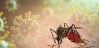 Dengue y Chikunguña se disparan en Cuba