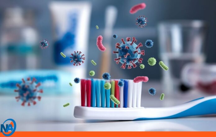 Cepillo de dientes albergar millones de bacterias Cepillo de dientes albergar millones de bacterias