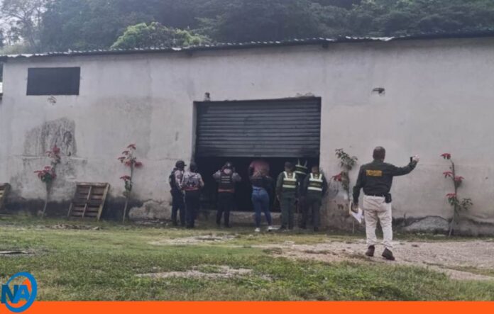 musgo Carabobo