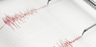 sismo Japón