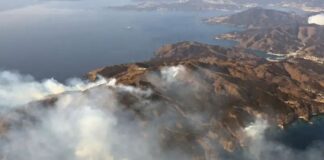 terremoto tsunami Japón
