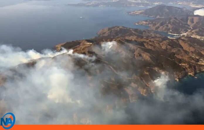 terremoto tsunami Japón