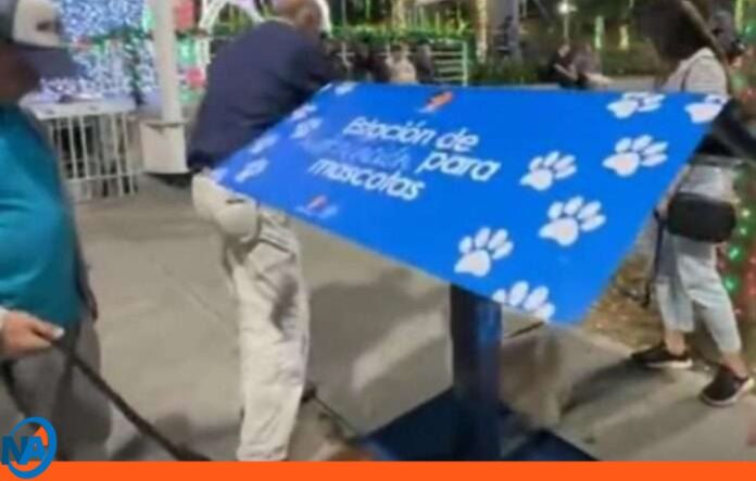 Chacao bebederos perros Chacao bebederos perros
