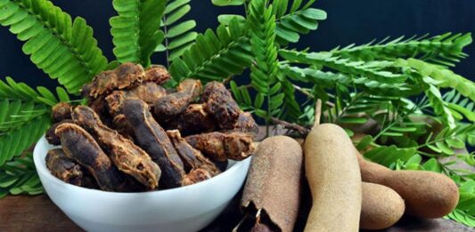 Tamarindo beneficios