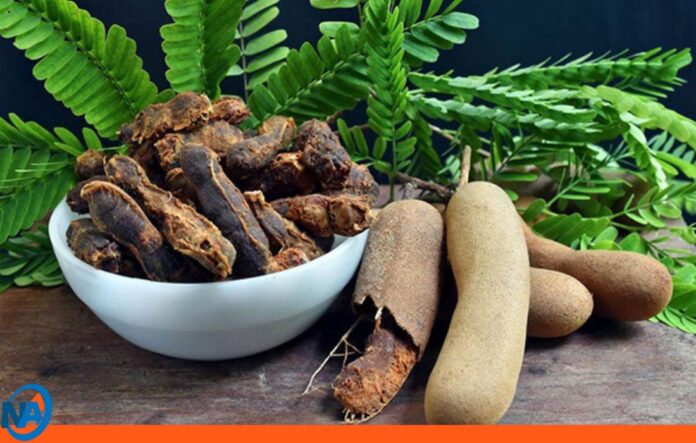 Tamarindo beneficios