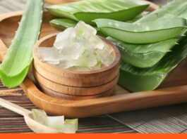 arrugas aloe vera