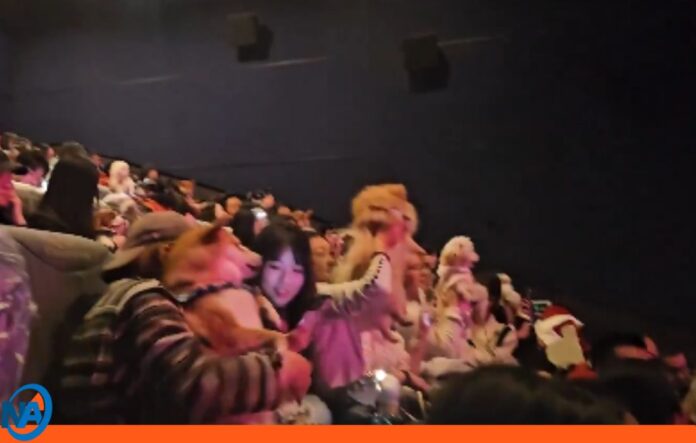 China Mascotas acompañan a ver 