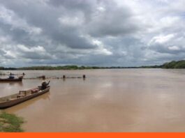 Insopesca Apure suspende la pesca