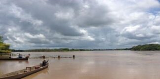 Insopesca Apure suspende la pesca