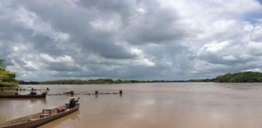 Insopesca Apure suspende la pesca