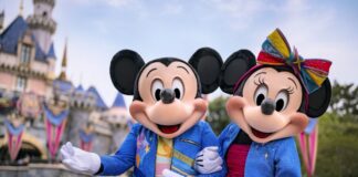 Disneyland: Empleados de limpieza en protesta